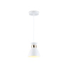 Светильник подвесной в стиле лофт AMBRELLA light TR8465