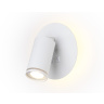 Настенный светильник с выключателем Ambrella light FW2462