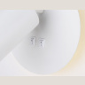 Настенный светильник с выключателем Ambrella light FW2462