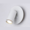 Настенный светильник с выключателем Ambrella light FW2462