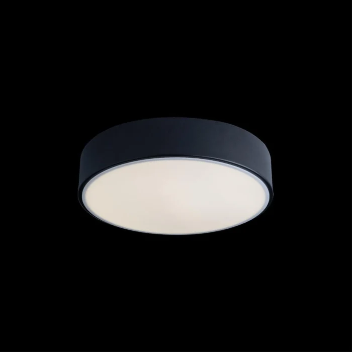 Светильник потолочный Loft it Axel 10002/12 Black