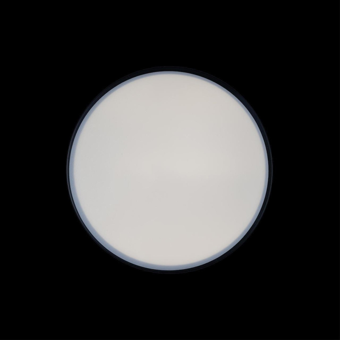 Светильник потолочный Loft it Axel 10002/12 Black