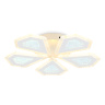 Потолочный светодиодный светильник с пультом Ambrella light FA4030