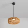 Подвесной светильник Freya Terra FR5514PL-01B1