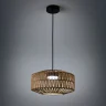 Подвесной светильник Freya Terra FR5514PL-01B1
