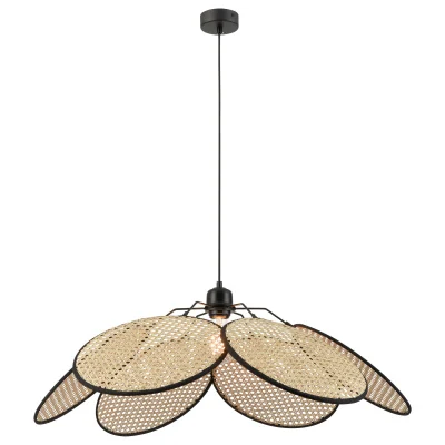 Подвесной светильник PALMA WE520.01.716 WERTMARK