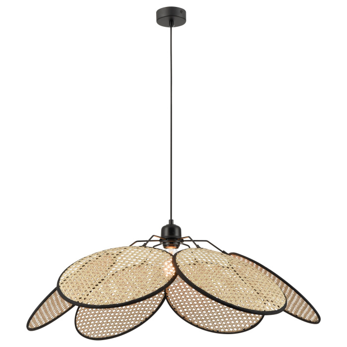 Подвесной светильник PALMA WE520.01.716 WERTMARK