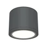 Потолочный светильник Maytoni Rendo C095CL-GX53-GR