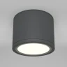 Потолочный светильник Maytoni Rendo C095CL-GX53-GR