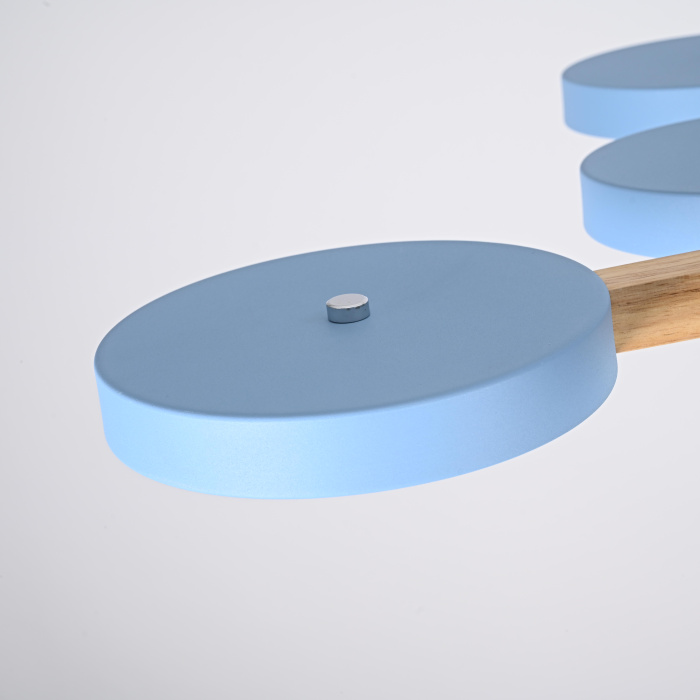 Потолочный светильник TURNA L10 Blue ImperiumLoft