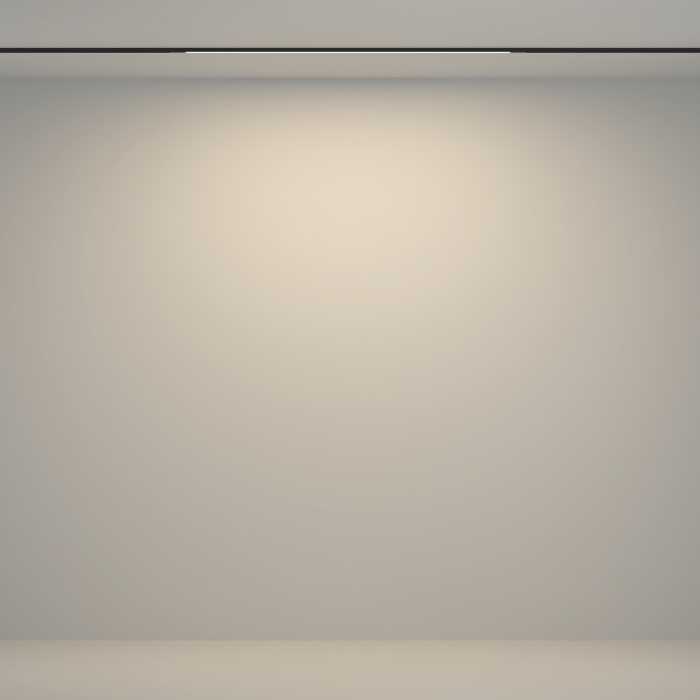 Трековый светильник Maytoni Flex TR180-1-12WTW-B