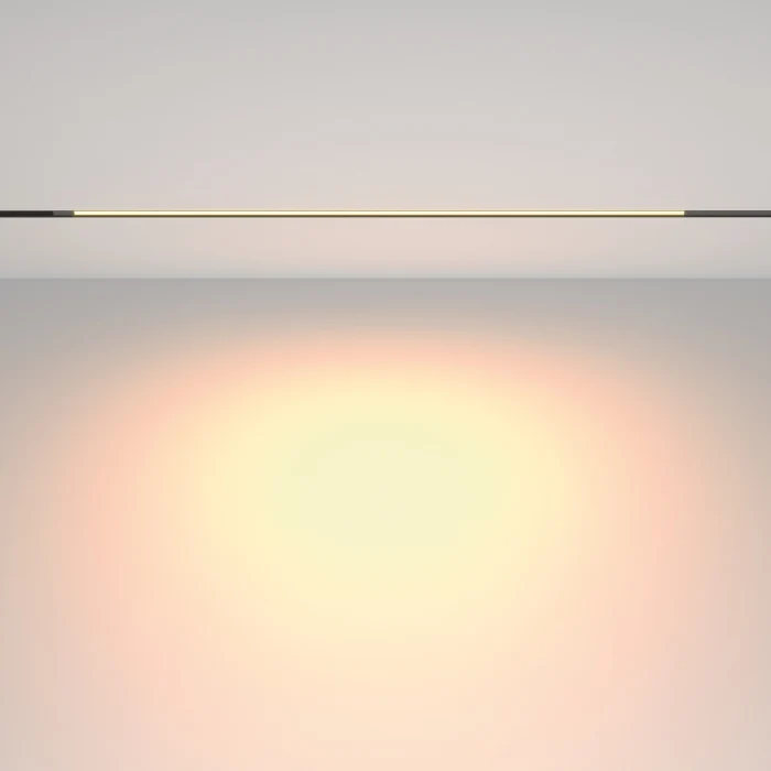 Трековый светильник Maytoni Basis TR231-2-15W3K-B