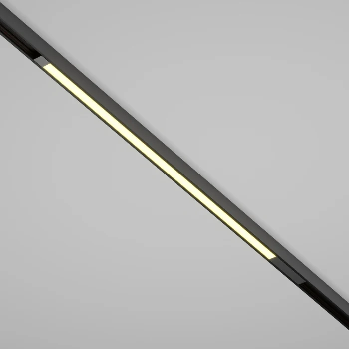 Трековый светильник Maytoni Basis TR231-2-15W3K-B