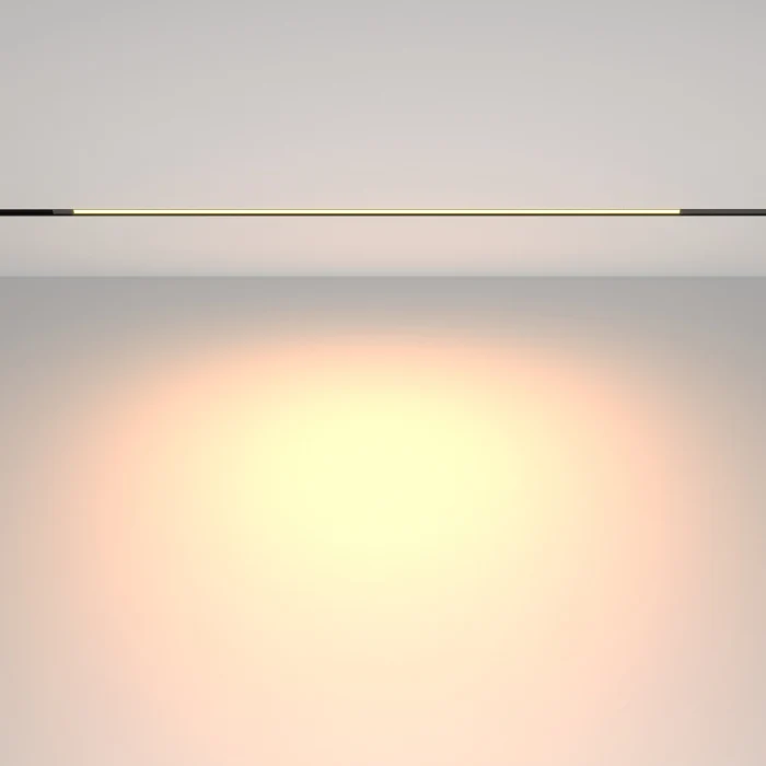 Трековый светильник Maytoni Basis TR231-2-15W3K-B