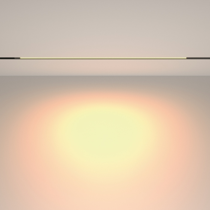 Трековый светильник Maytoni Basis TR231-2-15W3K-B