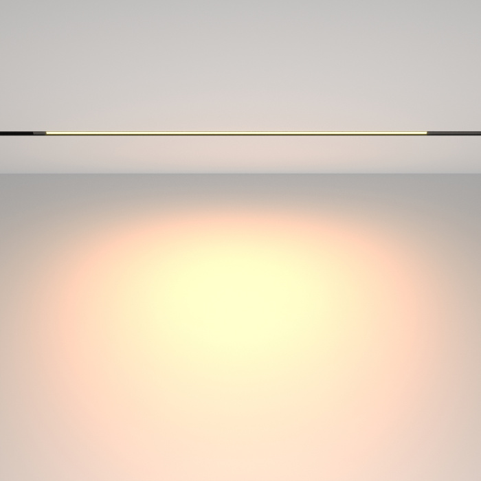 Трековый светильник Maytoni Basis TR231-2-15W3K-B