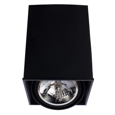 Светильник Arte Lamp CARDANI GRANDE A5936PL-1BK