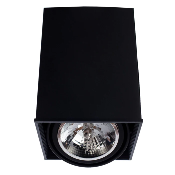 Накладной светильник Arte Lamp CARDANI GRANDE A5936PL-1BK