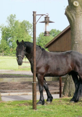 Уличный фонарь Robers AL 6667