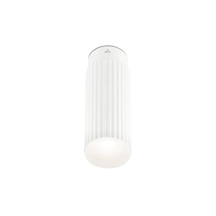 Потолочный светильник LEDS C4 RIGATTO 15-5278-BW-BW