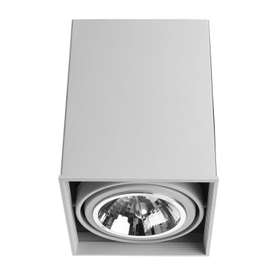 Потолочный светильник Arte Lamp Cardani A5936PL-1WH