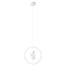 Подвесной светодиодный светильник Arte Lamp Paradise A6065SP-1WH
