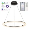Светильник подвесной Citilux Электрон CL710B65S