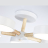 Потолочный светодиодный светильник с пультом Ambrella light FL4825