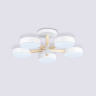 Потолочный светодиодный светильник с пультом Ambrella light FL4825