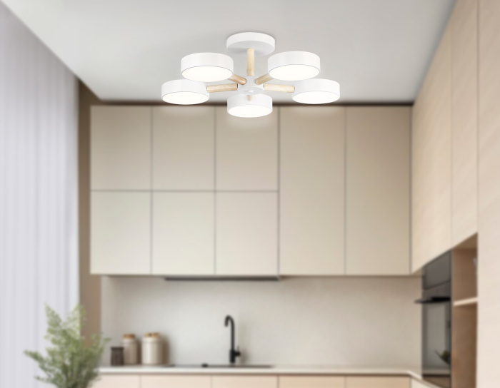 Потолочный светодиодный светильник с пультом Ambrella light FL4825