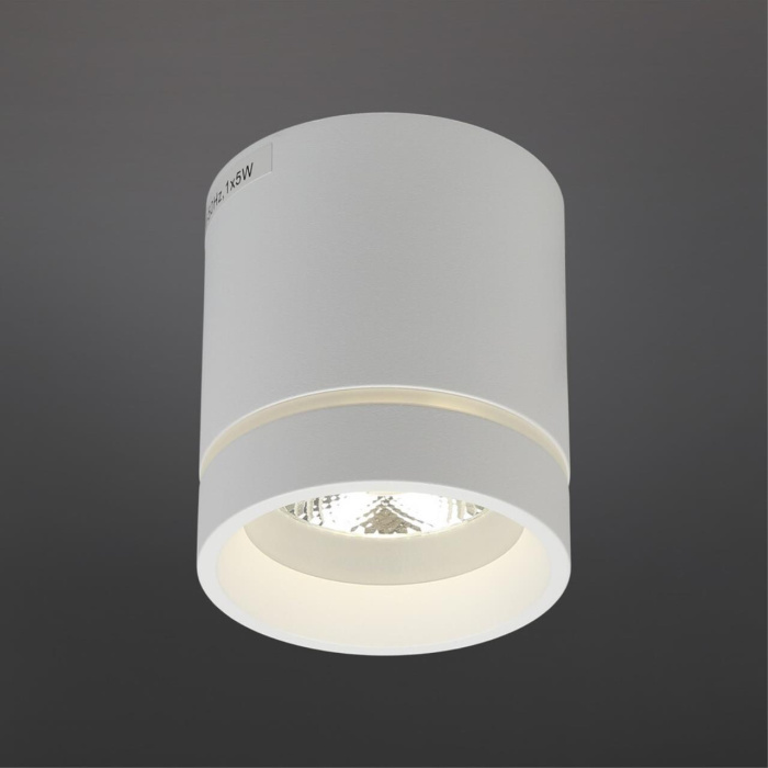 Светильник накладной Aployt Gita APL.0044.09.05