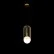 Подвесной светильник Maytoni P362PL-01G