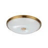 Настенно-потолочный светильник Odeon Light Pelow 4956/5