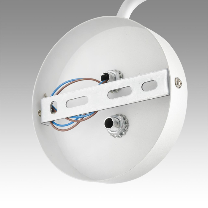Светильник настенный Lumion Karina 8241/1W