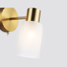 Бра Ambrella Light Traditional TR9586