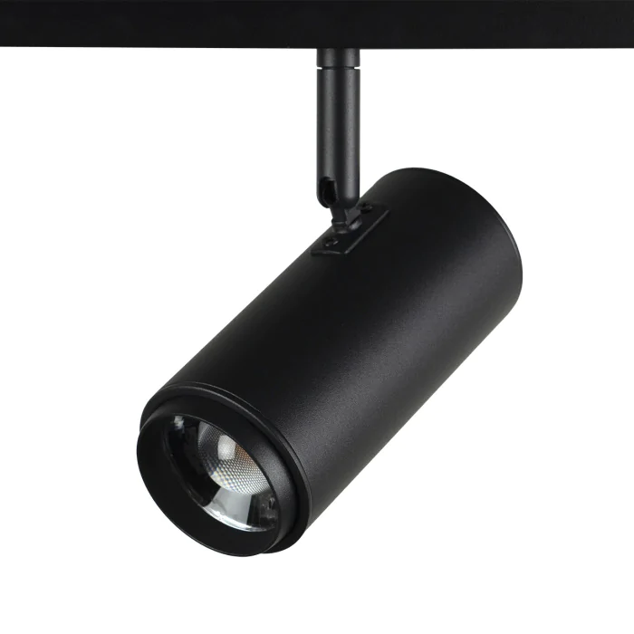 Трековый светильник LOFT IT T046-06