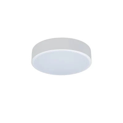 Светильник потолочный Loft it Axel 10002/12 White