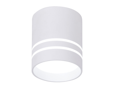 Накладной светодиодный точечный светильник Ambrella light TN240