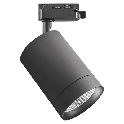 Светильник на шине Canno LIGHTSTAR 303274