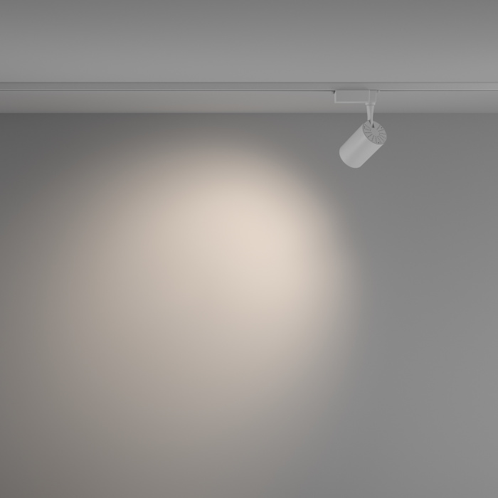 Трековый светильник Maytoni Vuoro TR003-1-10W4K-W-W