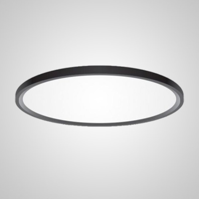 Потолочный светильник EXTRASLIM D100 Black ImperiumLoft