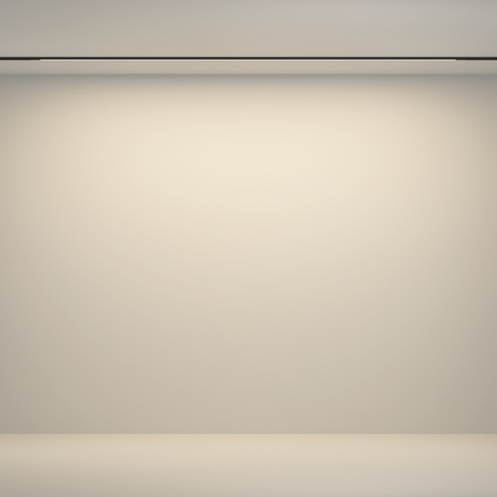 Трековый светильник Maytoni Flex TR180-1-24WTW-B