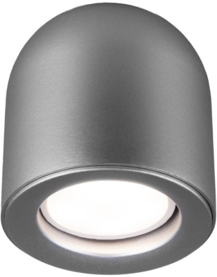 Потолочный светильник Elektrostandard Ogma 4690389153341