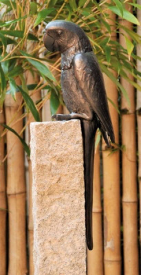 Попугай Robers B 8668