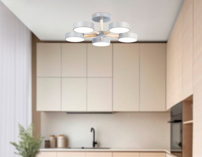 Потолочный светодиодный светильник с пультом Ambrella light FL4826