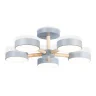 Потолочный светодиодный светильник с пультом Ambrella light FL4826