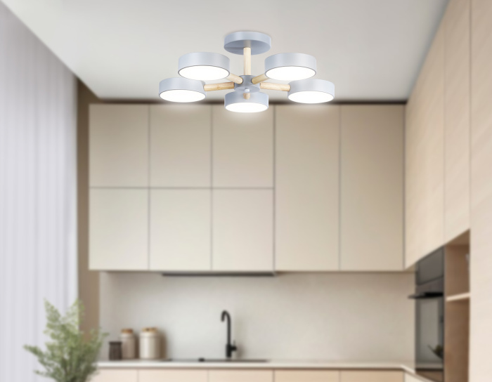 Потолочный светодиодный светильник с пультом Ambrella light FL4826