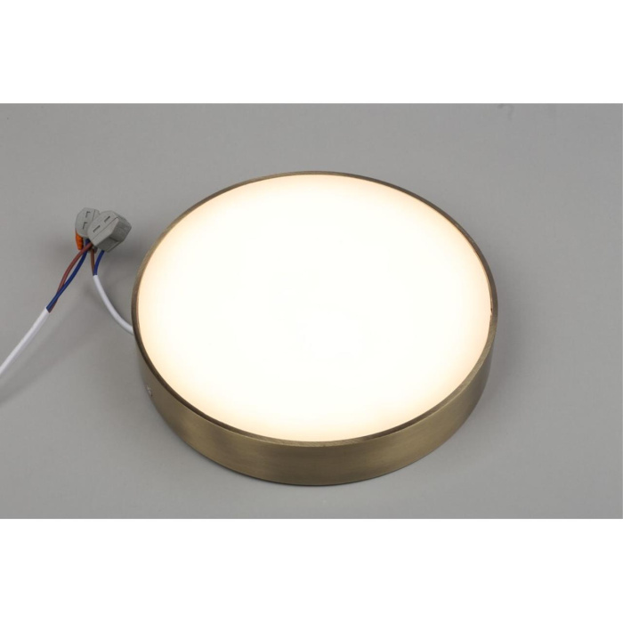 Светильник настенно-потолочный Aployt Evon APL.0113.29.24