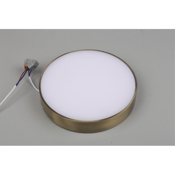 Светильник настенно-потолочный Aployt Evon APL.0113.29.24