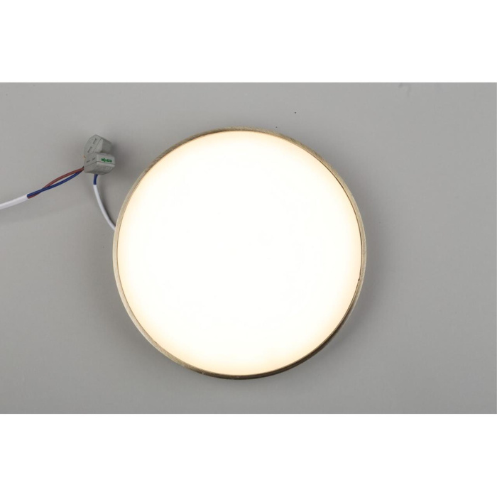 Светильник настенно-потолочный Aployt Evon APL.0113.29.24